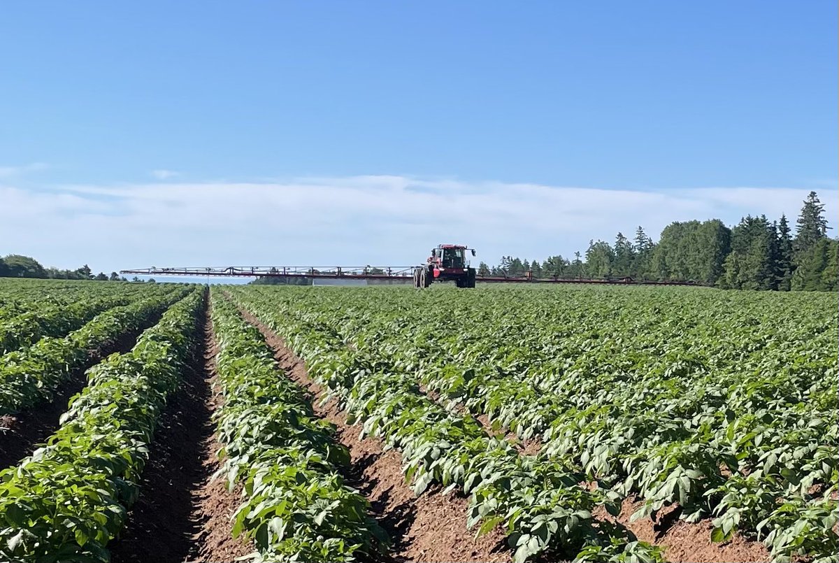 Great growing weather > gotta keep that seed protected. #coveringground with #Agrifac
