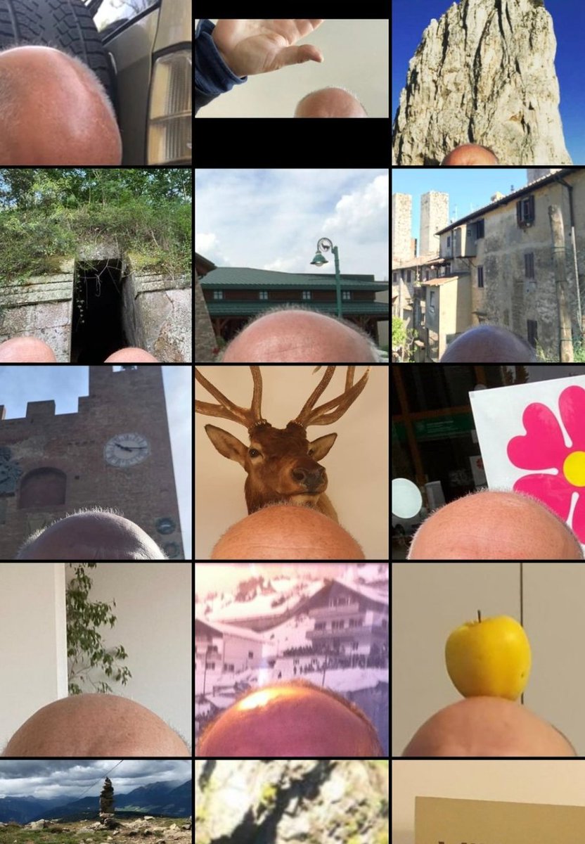 This is my father's bald head. 
I have a ton of these photos.

If this tweet reaches 239 LIKES will turn it into an NFT project.

Let's make this viral !!!!
He said "🟠"

instagram.com/a_pelata_de_mi…