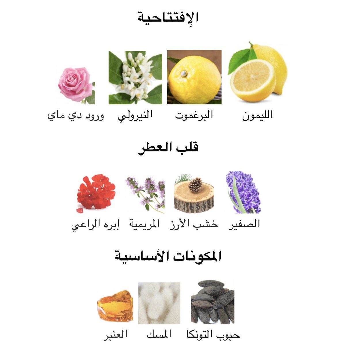Morpho KSA 🤍💜 tweet media