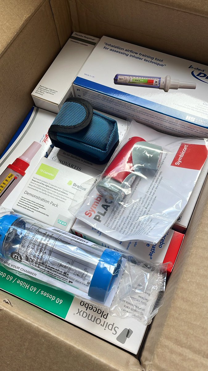 Prothoma✨ tweet media