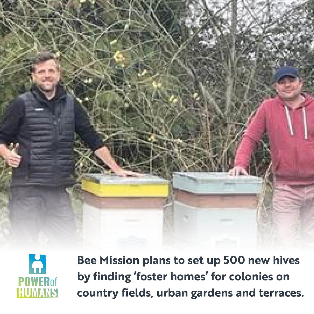 powerofhumans's tweet photo. Bee Mission’s goal goes beyond reviving dwindling honeybee numbers. Its training scheme provides skills and work opportunities for homeless people living in Bournemouth.
#Sharegood #PowerofHumans #SaveTheBees https://t.co/G5rkDF2pmE
