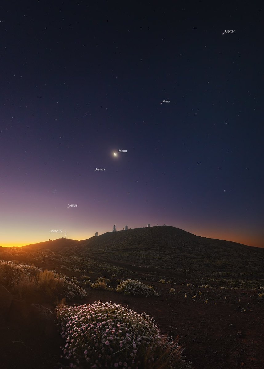 Los últimos días de junio, cerca del amanecer, el universo nos regaló un espectáculo impresionante. Mercurio, Venus, Urano, la Luna, Marte y Júpiter en conjunción.
Esta imagen del amanecer del 24 de junio con los planetas alineados sobre el observatorio del Teide