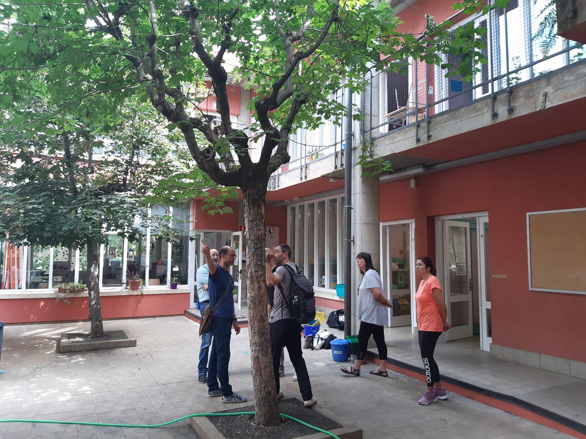 Maria Vidal (@mariavidalsjf) on Twitter photo Comencen els treballs preliminars per fer el tancament del passadís del primer pis de l'escola Castanyer. Una demanda de molts anys amb el que aconseguir més eficiència en els sistemes de climatització de les aules. <a href="/gencat/">Generalitat de Catalunya</a> <a href="/educaciocat/">Educació</a> <a href="/santjoanfontsaj/">Sant Joan les Fonts</a> Comencen els treballs preliminars per fer el tancament del passadís del primer pis de l'escola Castanyer. Una demanda de molts anys amb el que aconseguir més eficiència en els sistemes de climatització de les aules. <a href="/gencat/">Generalitat de Catalunya</a> <a href="/educaciocat/">Educació</a> <a href="/santjoanfontsaj/">Sant Joan les Fonts</a>