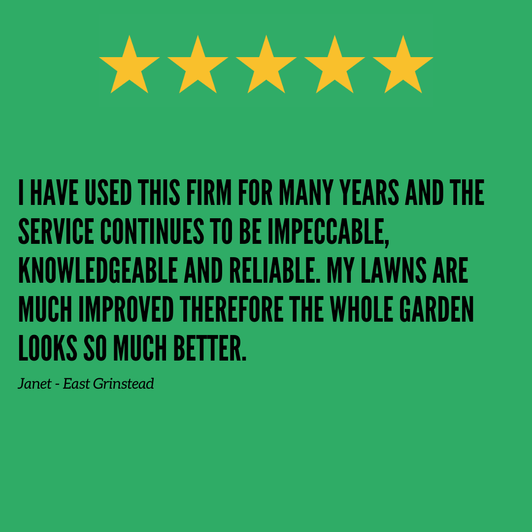 lawntigeruk's tweet photo. ⭐ Another glowing 5 star customer review from another lovely customer! 

#lawntiger #lawncare #uklawncareassociation #lawns #lawntreatment #spring lawn #nature #lawncare #grass #lawncarelife #lawncarelegends #lawncarenut #gardens #gardening #gardenmaintenance #gardenlove https://t.co/IaDhBdAoxN