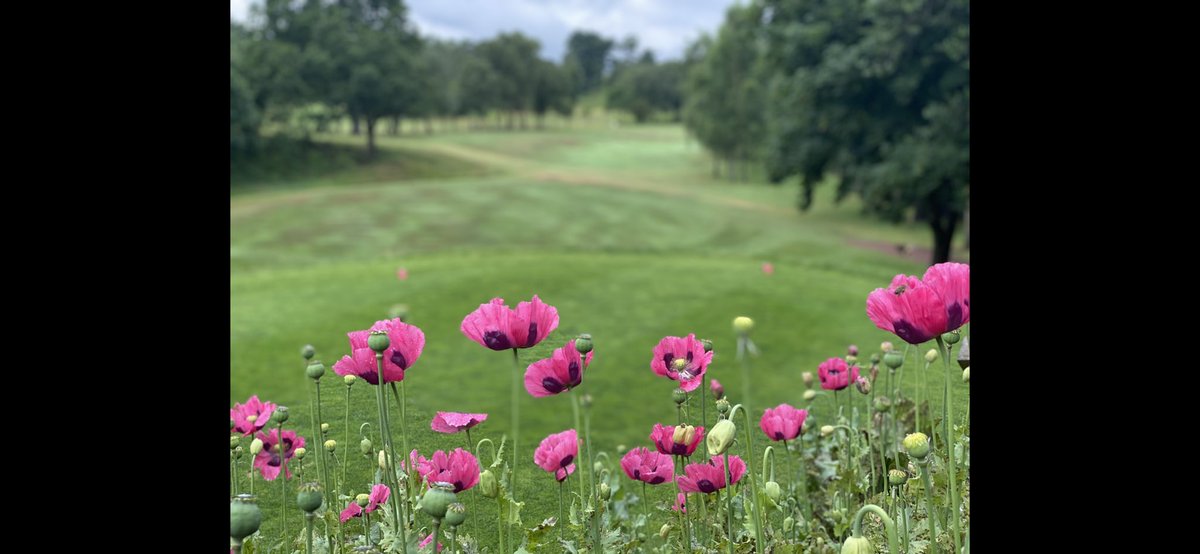 jazzyjeff tweet media