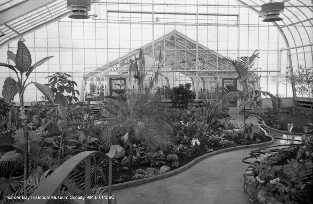 friendsTBcon's tweet photo. #ThunderBay's Centennial Botanical Conservatory, one of only 10 Botanical Conservatories in all of Canada in 1967, was described by the Secretary of the Centennial Advisory Council as “one of the better Centennial projects submitted for the whole of Canada.”🍁🇨🇦
#TBay #CanadaDay https://t.co/2djJr8lb1x