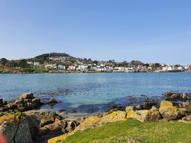 dlrcc's tweet photo. Ourselves and Dalkey Tidy Towns are busy preparing to welcome the judges of Entente Florale, who will visit Dalkey tomorrow, Saturday July 2nd.
Best of luck to everyone involved!
More here: https://t.co/2dpRDJw7ev
#YourCouncilDay #dlrClimateAction
@DttDes https://t.co/4QpnpqUTVX