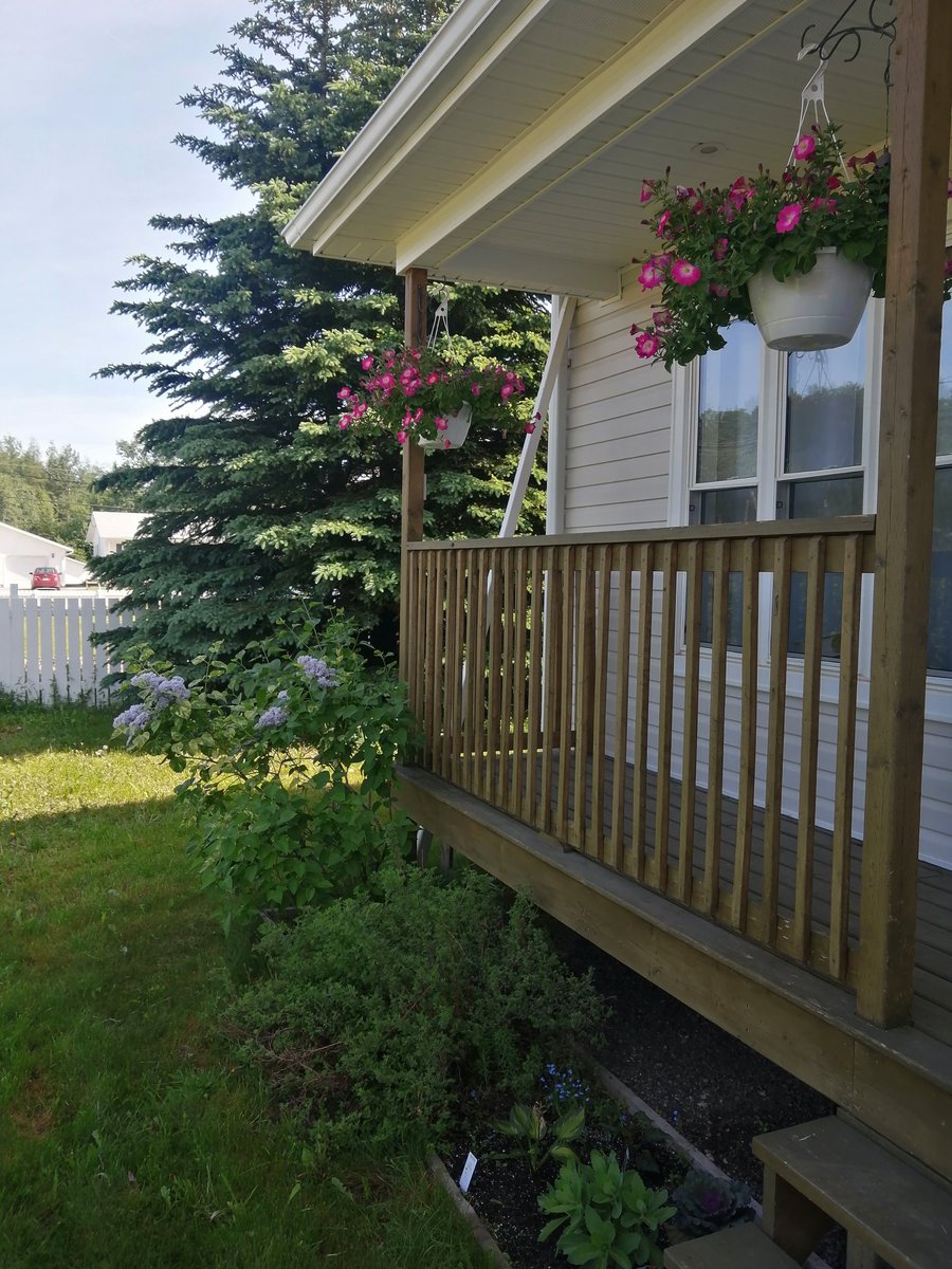 Happy Canada Day from #HappyvalleyGoosebay #Bigland #Leafsforever #Leafs Hope everyone has an awesome and safe day!