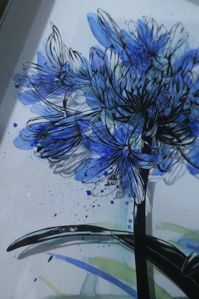 traditional media flower solo blue theme no humans general  illustration images