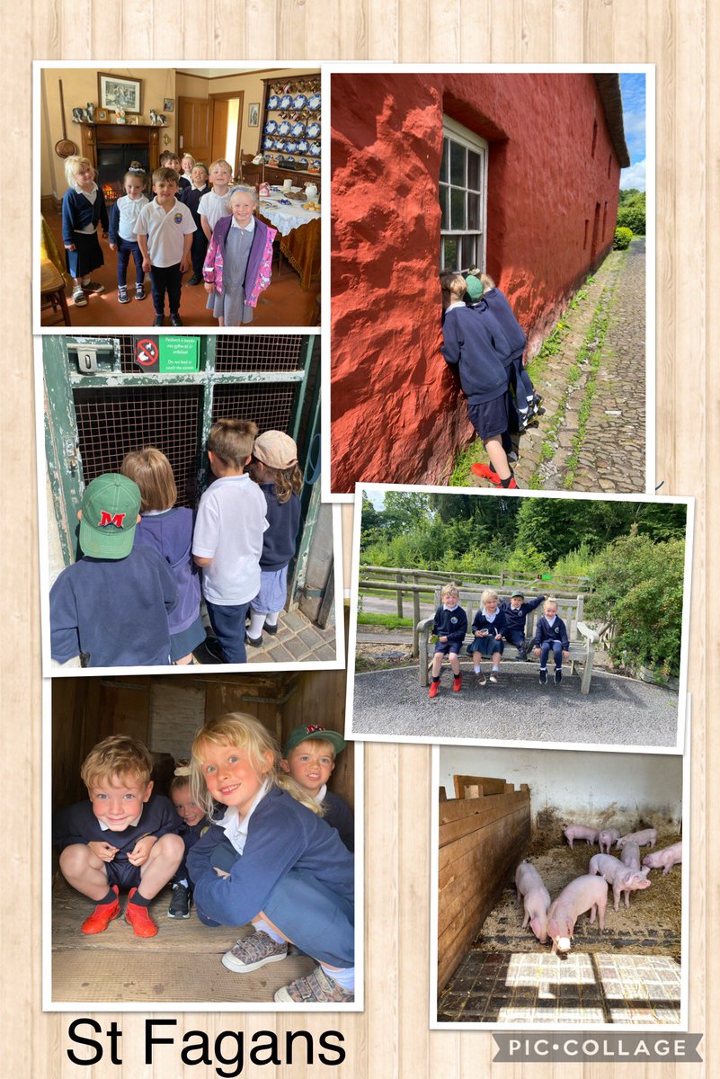 SullyPS's tweet photo. Reception have had a fantastic day at @StFagans_Museum The sun shone all day and we had so much fun exploring ☀️ #SPSReception https://t.co/9AhphQOEQK
