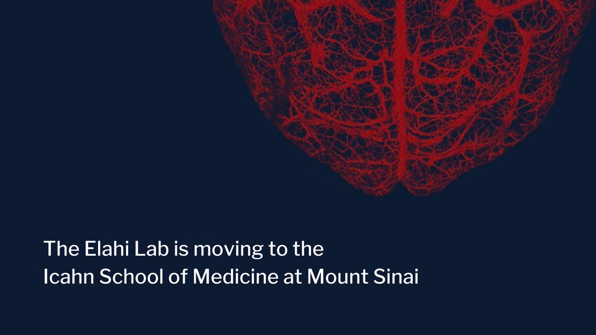 Fanny Elahi, MD, PhD (@fannyelahi) on Twitter photo It is with both sadness & excitement that I share that my lab will be moving to <a href="/SinaiBrain/">Friedman Brain Institute</a> <a href="/IcahnMountSinai/">Icahn School of Medicine at Mount Sinai</a>. I am grateful to everyone at <a href="/UCSFmac/">UCSF MAC</a> who has fostered my lab’s growth — because of their support I am able to start this new adventure & be closer to my NYC family (1/4) It is with both sadness & excitement that I share that my lab will be moving to <a href="/SinaiBrain/">Friedman Brain Institute</a> <a href="/IcahnMountSinai/">Icahn School of Medicine at Mount Sinai</a>. I am grateful to everyone at <a href="/UCSFmac/">UCSF MAC</a> who has fostered my lab’s growth — because of their support I am able to start this new adventure & be closer to my NYC family (1/4)