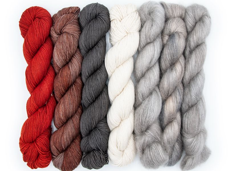 Karida Collins tweet media