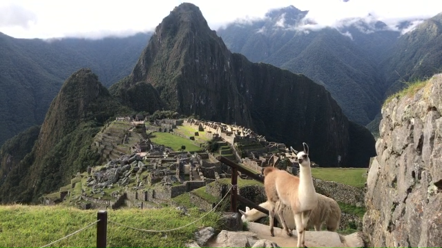 JaviSahuinco's tweet photo. @babyswap_bsc my beautiful Cusco, Peru, sacred land of the Incas, Machu Picchu with a #bebellama #babySwapInYourArea  #BabySwap https://t.co/gUd9QVFKH2