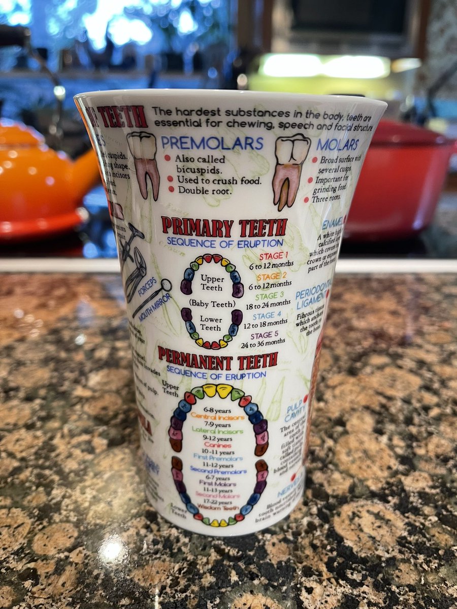 DrGorczyca's tweet image. Teeth eruption on a mug! #teetheruption #morningcoffee