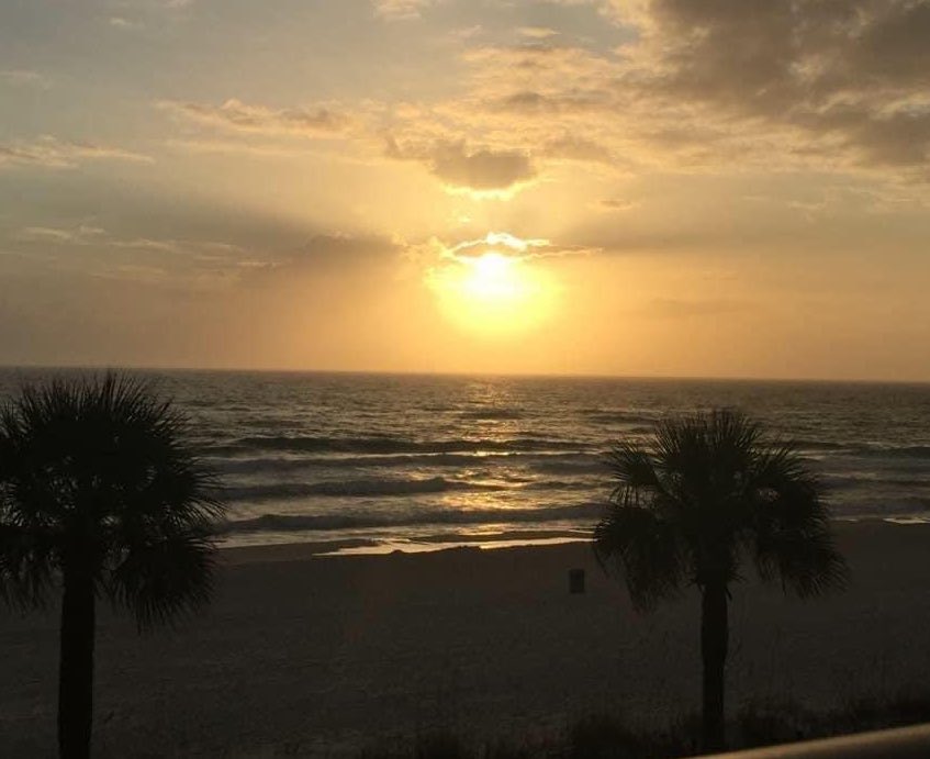 JanisPassons's tweet photo. “West Palm Beach” ❤️🇺🇸 https://t.co/ukxbygKxoD