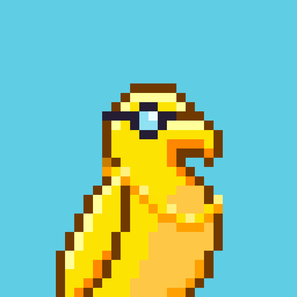 Parrots 🦜 tweet media