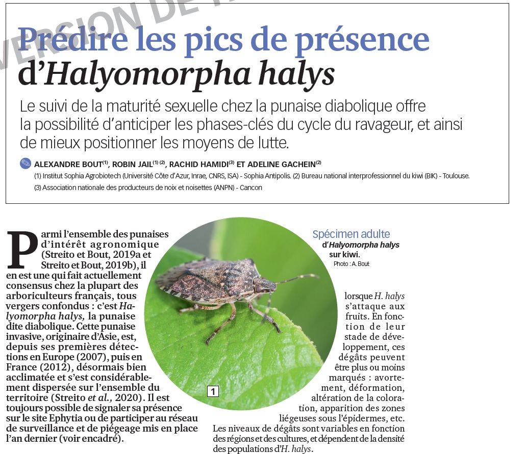 INRAE_Lutte_Bio's tweet photo. Caractériser les cycles d'#Halyomorpha #halys : Comment anticiper les pics de présences et les stades vulnérables pour les futures opérations de #Lutte #Biologique ? un travail collaboratif - projet #POLcKA avec le soutien du #GISfruit et des partenaires (liste à l’intérieur). https://t.co/mE7AxtGUYB