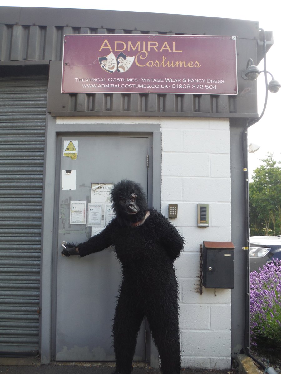 Unexpected guest #gorilla #monkeybusiness #admiralcostumes #fancydress #costumier