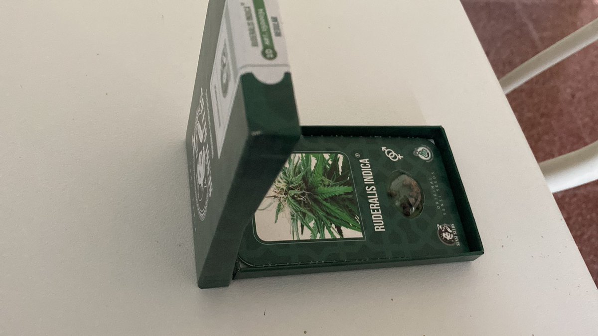 lori_fr3's tweet photo. Como molan las cajitas de sensiseeds #Mmemberville https://t.co/shMIJQnXjI