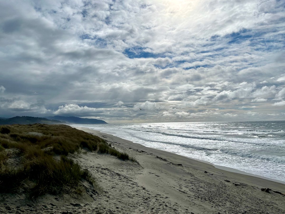 JasonKechely's tweet image. Fly, be free...
#OregonCoast  #MissingTheOcean