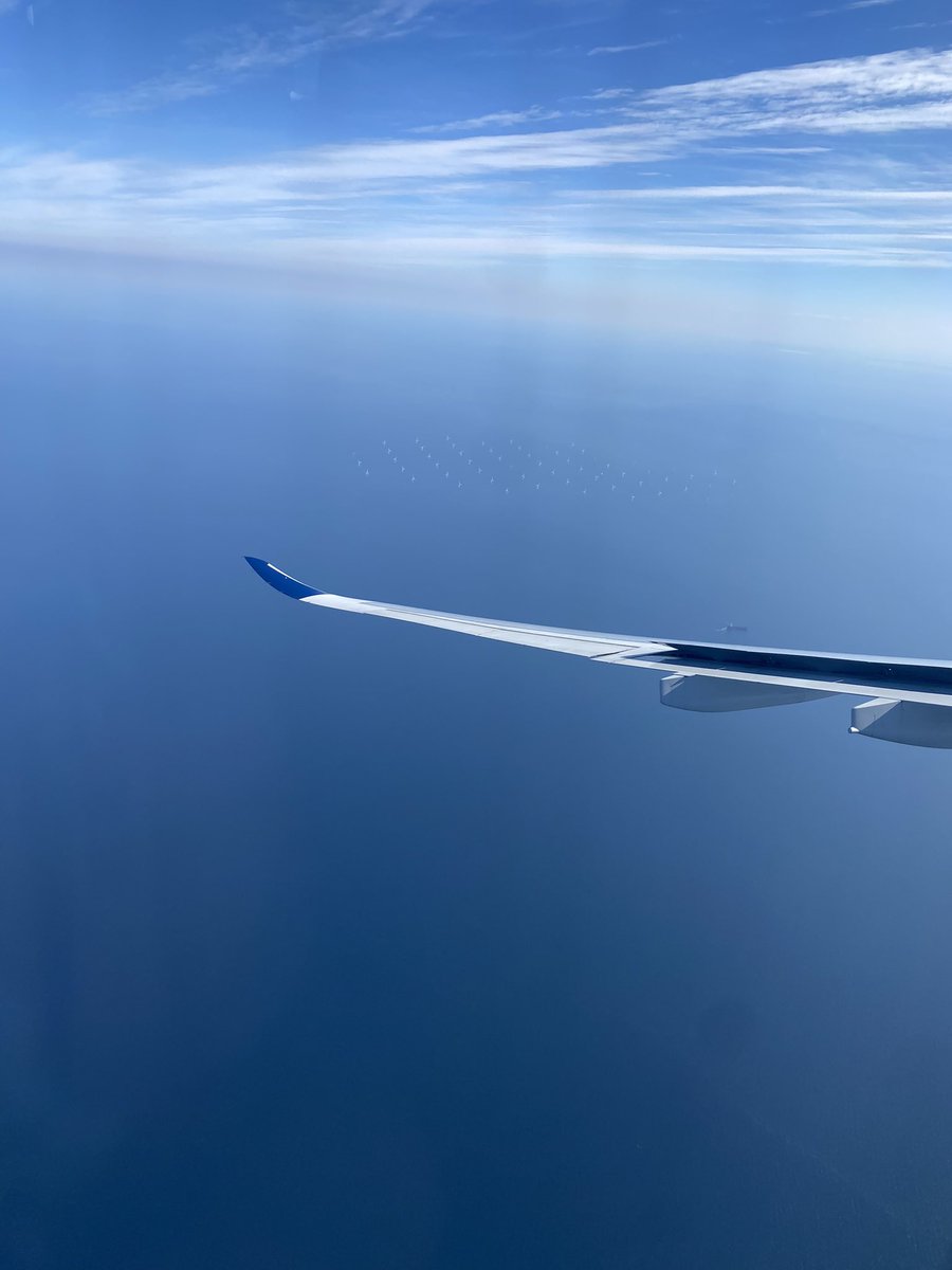 Perswidle tweet media