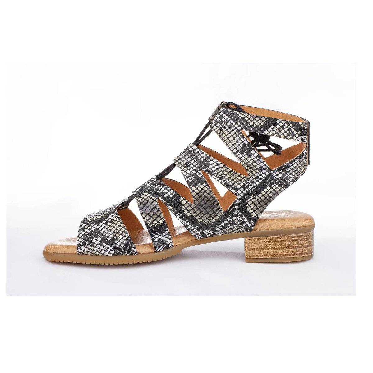 maistendencia's tweet photo. [ 🛍️ ] Romana piel estampado serpiente Kaola

🛒 https://t.co/p9mzrxwrBc vía @maistendencia

#maistendencia #modamujer #Kaola #calzadomujer https://t.co/k78OxfEmmu