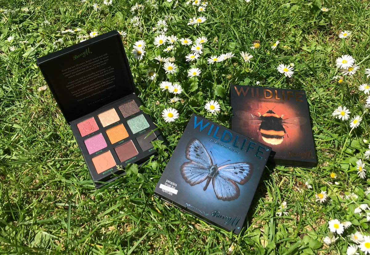 When you buy a butterfly, bee or beetle eyeshadow palette from the WILDLIFE ® collection, our partner @BarryMCosmetics donates 20% of the proceeds to our work to protect the habitats of these crucial pollinators. ✨ 🐝🦋 Explore the collection 👉 barrym.com/collections/wi…