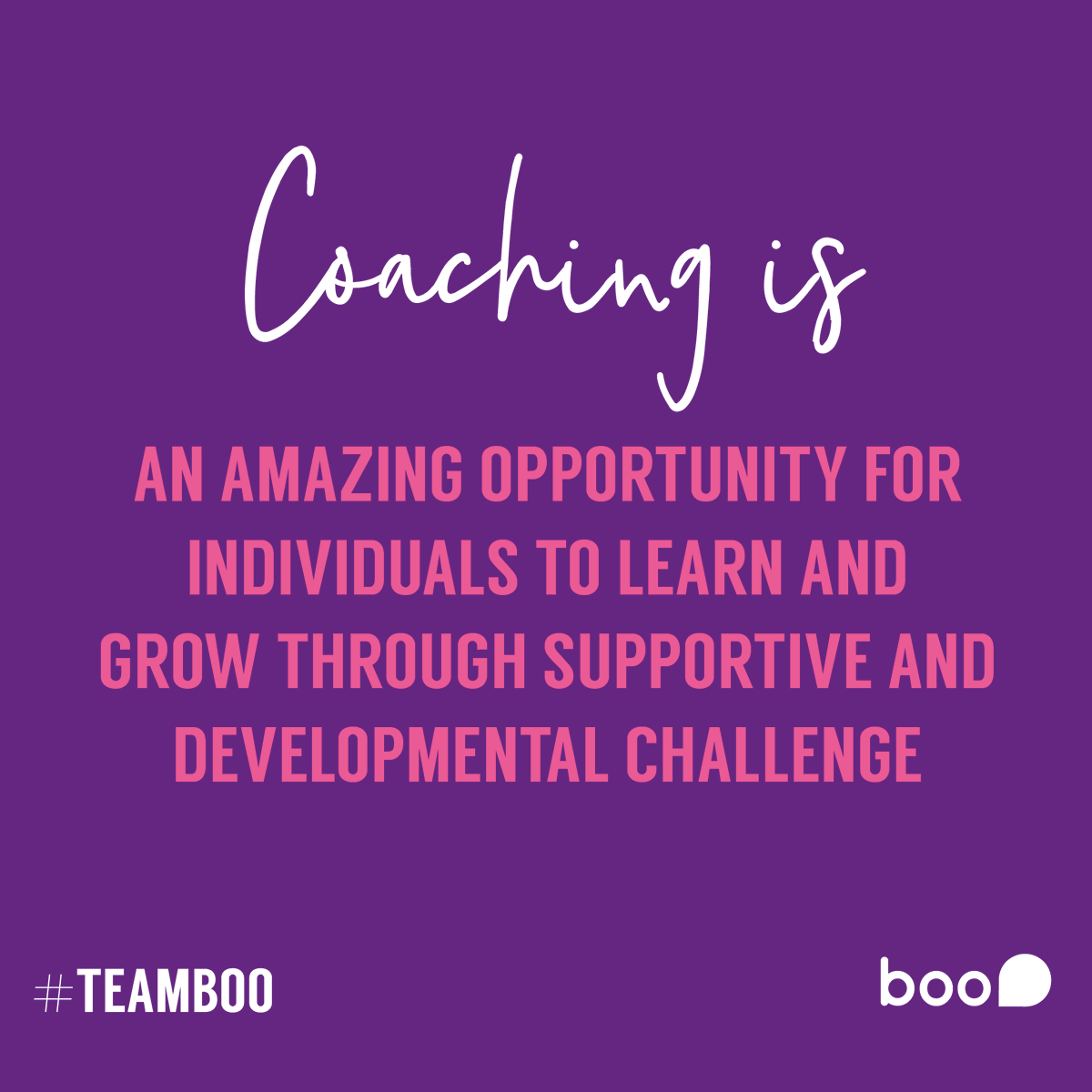 Boo Coaching & Consulting tweet media