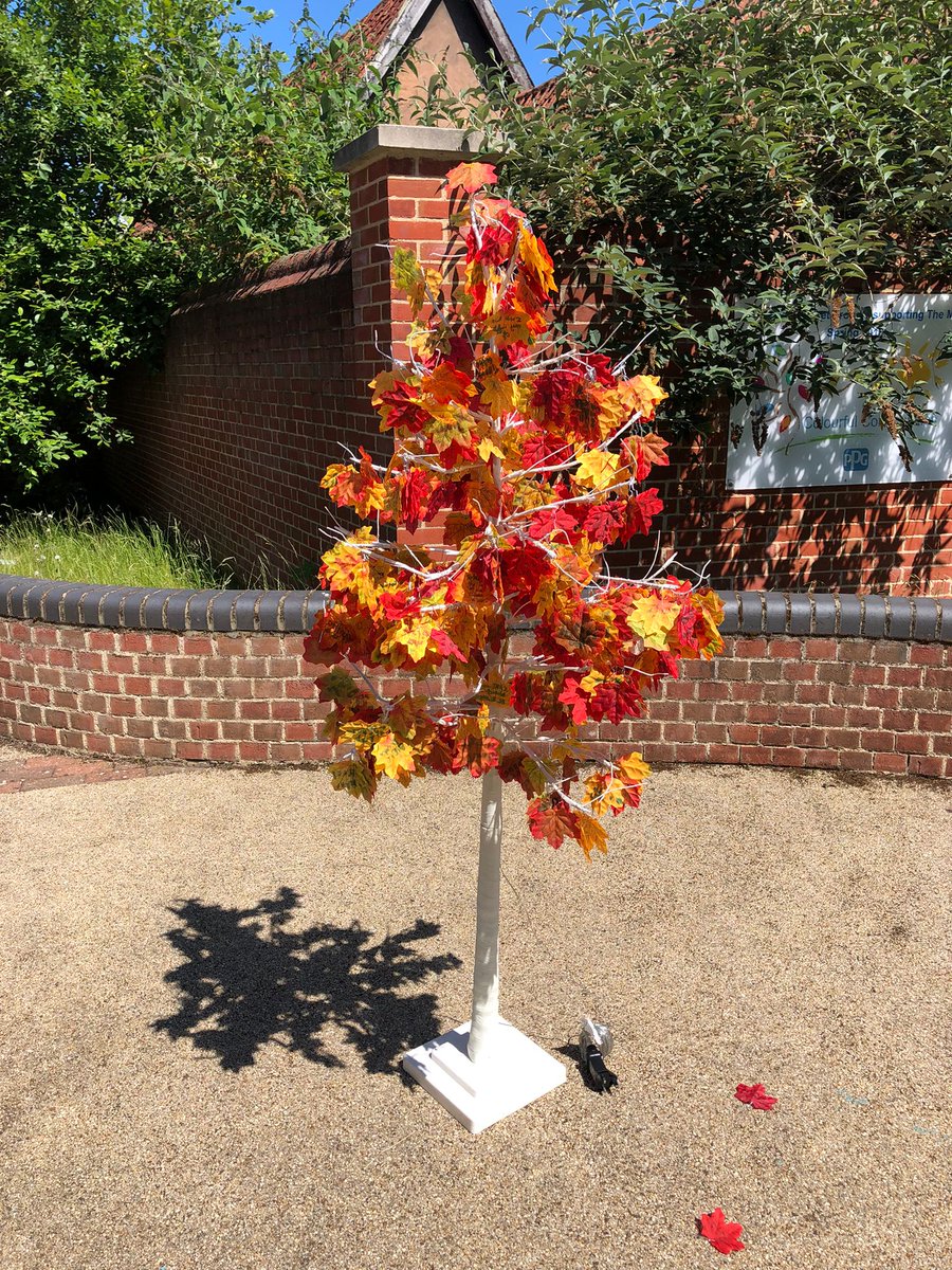 Suffolk_Enviro's tweet photo. 🌳 Last week we took part in Crucial Crew. Each young person who joined us added one leaf to our 'Tree of Action' pledging to do one thing each day to become more environmentally friendly. 1150 leaves in total!
#treeplanting #litterpicking #nature #climatechange #crucialcrew https://t.co/rVoxAcTkfC