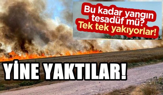 yazarmuratakan's tweet photo. Son 1 haftada farklı illerde yine toplam 1.500 dönüm buğday tarlası yandı!

Tesadüf mü, kasıt mı, neler oluyor?👇
https://t.co/ToVOLqtdIo https://t.co/GxszeQv23z