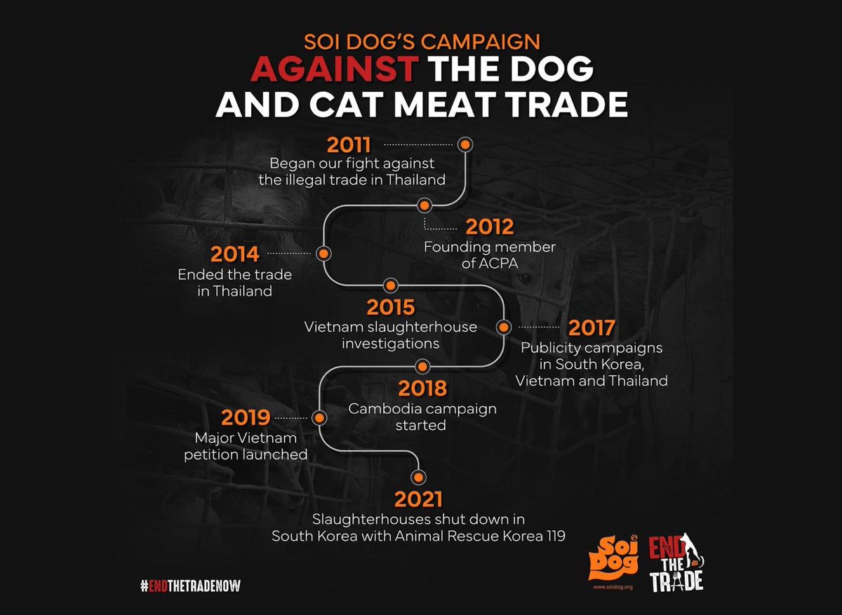 SoiDogUKOffici1's tweet photo. Progress my feel slow but it IS being made!!
#dogsoftwitter #CatsOfTwitter #streetdogs #stopthedogmeattrade #tradeofshame #endthetrade #rescue #AdoptDontShop https://t.co/gTlz50mHZM