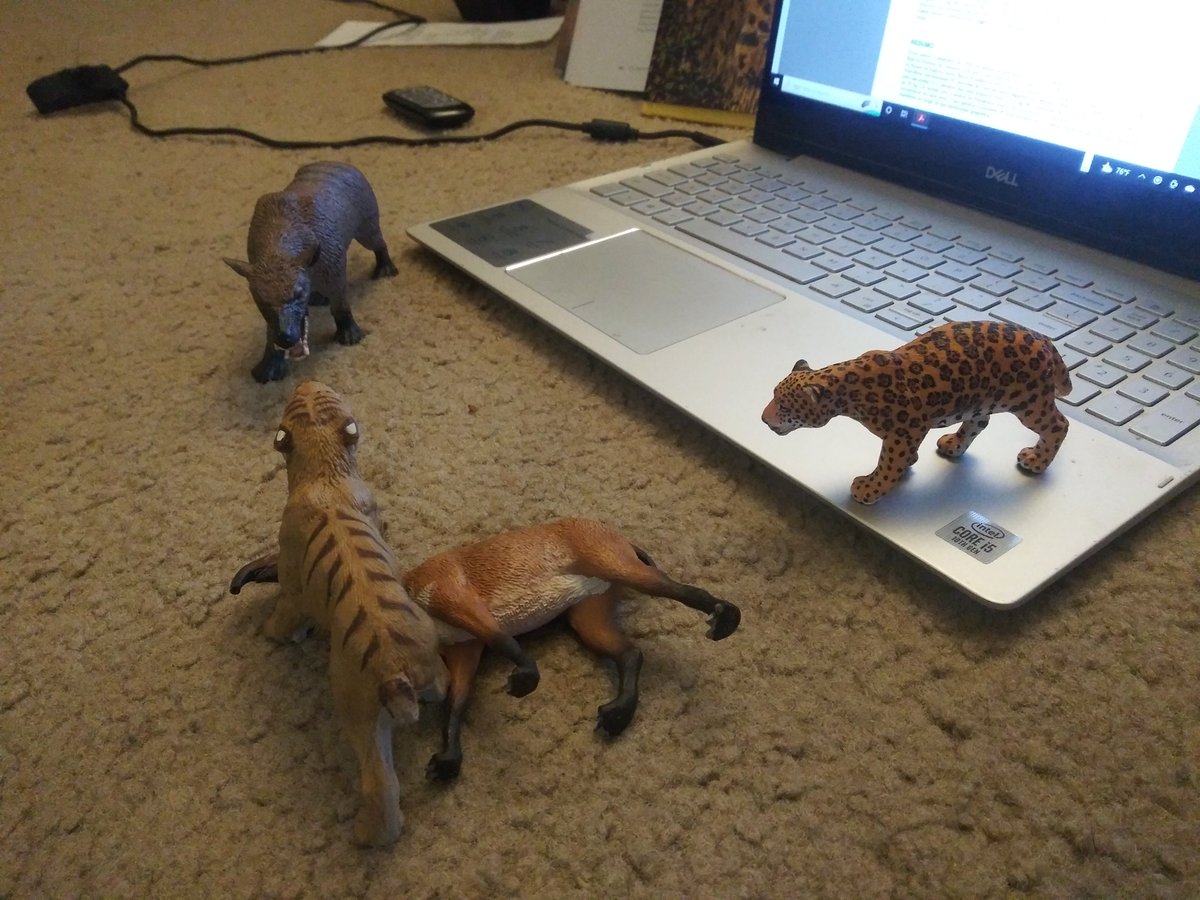 CenozoicKing's tweet photo. Had a little fun with some figurines I bought to decorate my desk. A #Smilodon defends his kill, a #Macrauchenia, from a time-traveling #Hyaenodon while a #Jaguar watches off to the side https://t.co/10SjA4JoyV