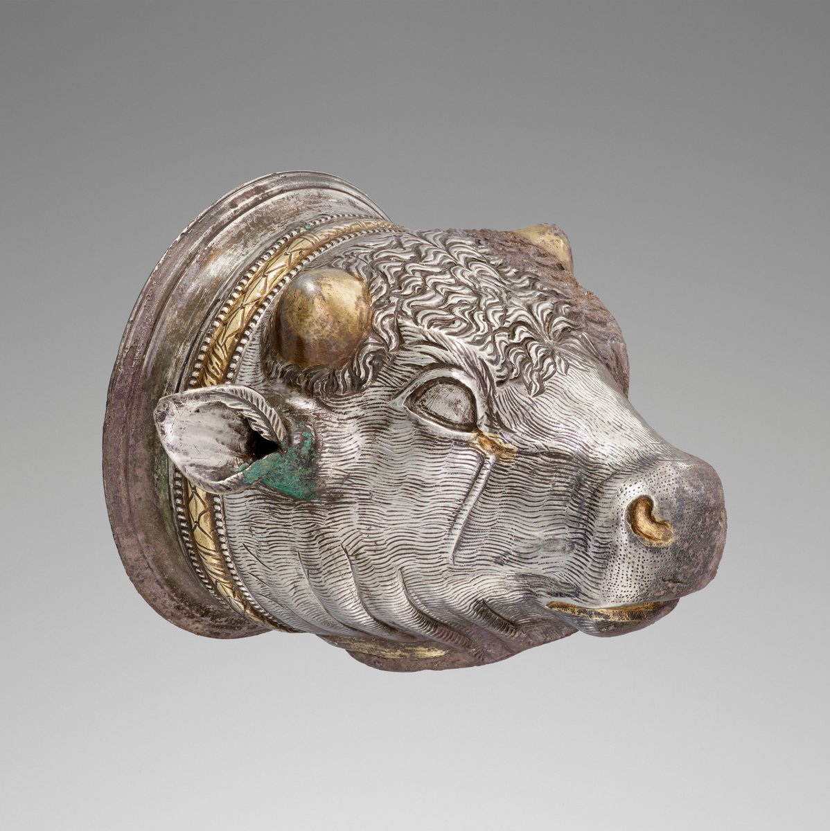 Symmach_'s tweet image. A 2,100 year old Hellenistic cup in the form of a bull&apos;s head.

Made from gilded silver, the garland tied around its neck marks the bull out as a sacrificial offering to the gods.

🏛️@GettyMuseum

#Classics #Greek #Art #Archaeology #Animals