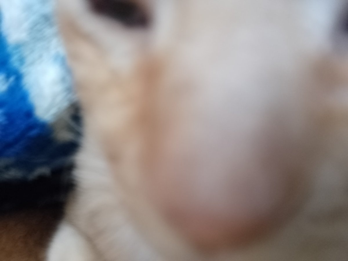 bilinguism0's tweet photo. te amo https://t.co/ayfJZJp4vC