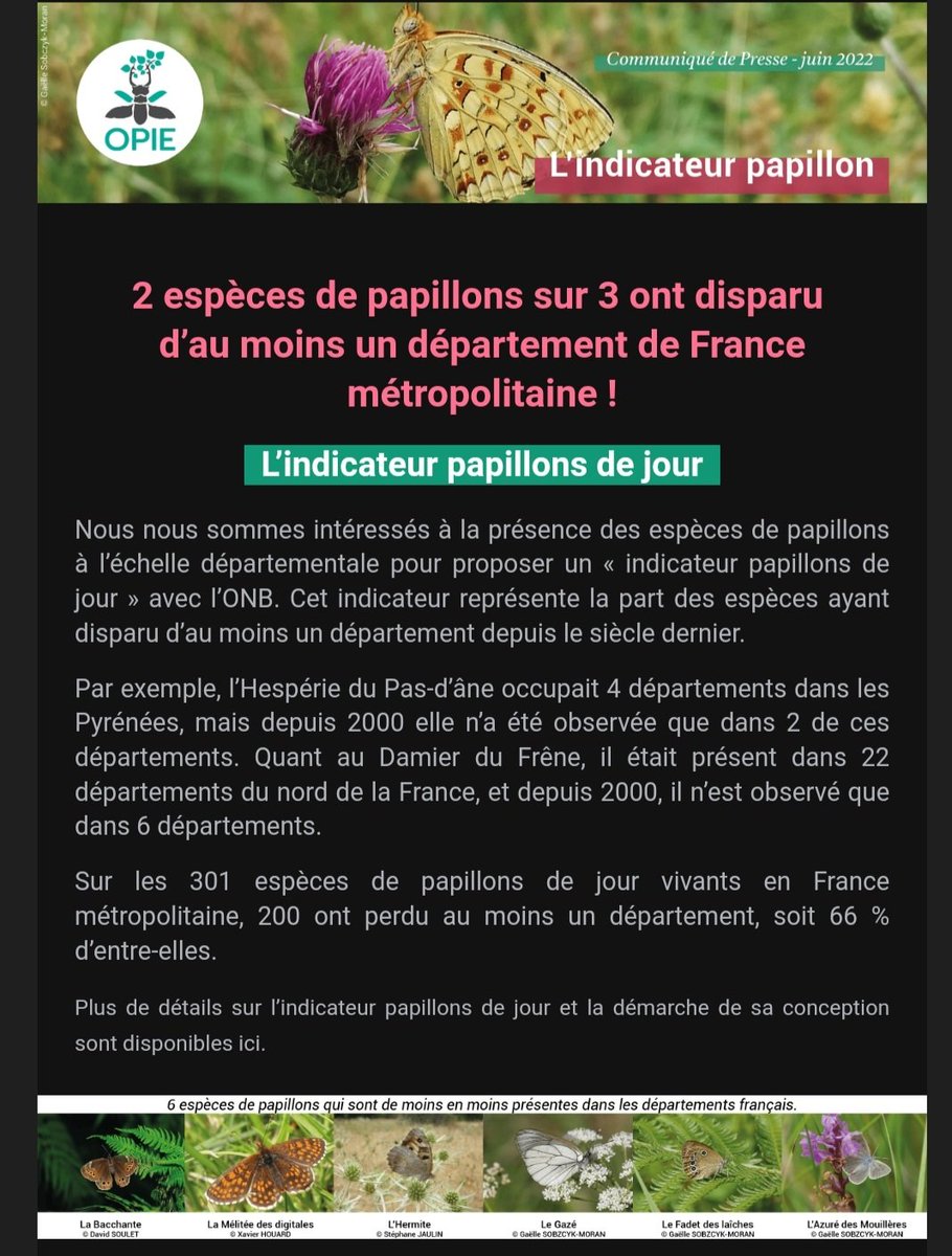 Le déclin global des papillons est très net. L'Opie vient de publier un nouvel indicateur qui l'illustre bien : 2 espèces de papillons sur 3 ont disparu d'au moins un département français.

insectes.org/blog/l-indicat…