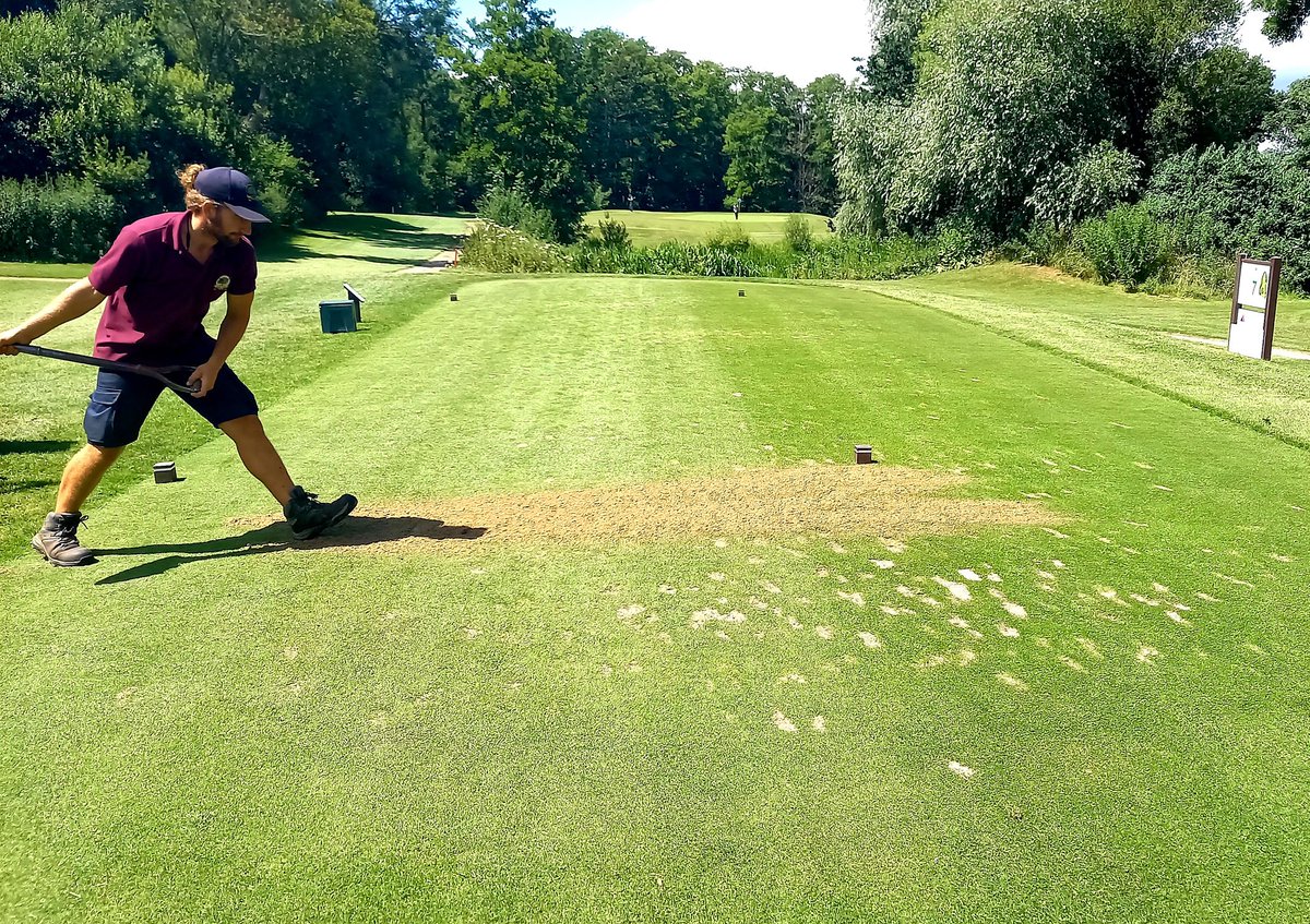 Jim Fancey tweet media