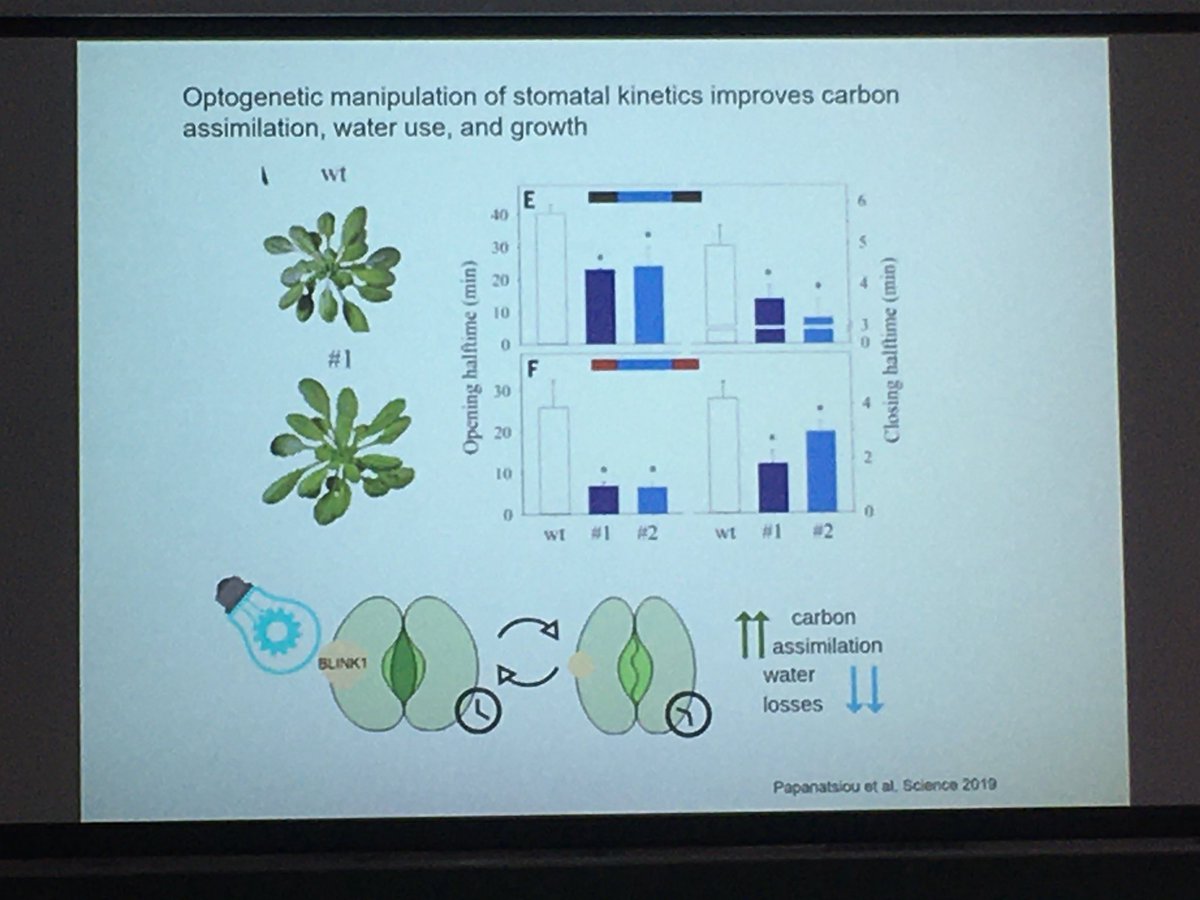 Claire Faillie 🐸 (@c_cclaire) on Twitter photo Very nice talk of <a href="/AnnaMoroni/">Anna Moroni</a> at MISTRAL2022 summer school in @IPSiM4 lab on optogenetics, Thanks Anna ! Very nice talk of <a href="/AnnaMoroni/">Anna Moroni</a> at MISTRAL2022 summer school in @IPSiM4 lab on optogenetics, Thanks Anna !