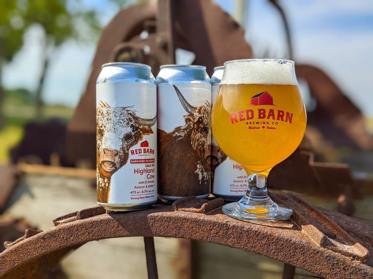 🐮MOO BEER RELEASE TODAY for our 2nd Anniversary!

Introducing Highland Cow, our first Cold IPA.

Highland Cow is a uniquely crisp, dry, clean and clear IPA that allows the malt and yeast to get out of the way for the beautiful hops to shine through in a refreshing way.