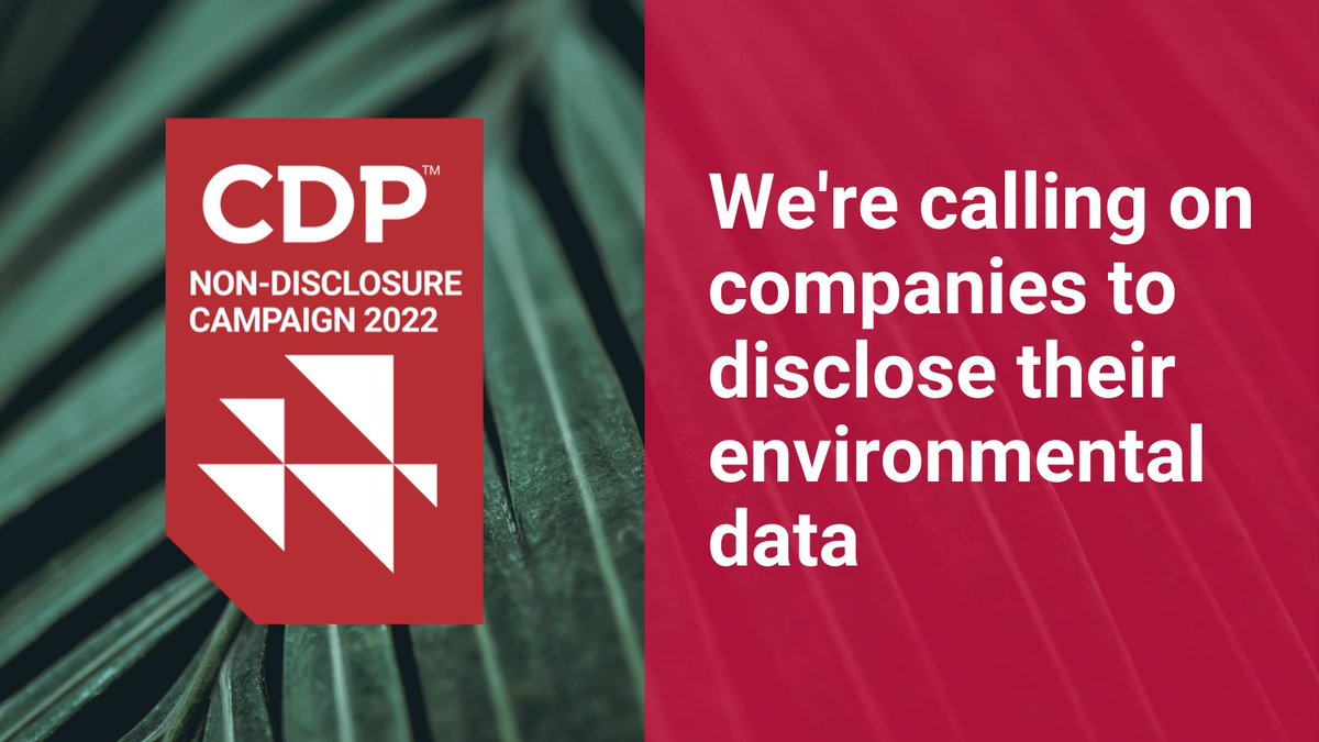 epworthinvest's tweet photo. Epworth is part of the growing ranks of over 260 financial institutions with more than US$31 trillion in assets demonstrating a commitment to driving environmental transparency by supporting @CDP’s 2022 #NonDisclosureCampaign https://t.co/LxorPHoE0I