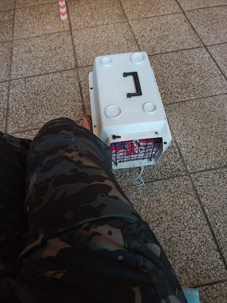 MexCybill's tweet photo. Wartezimmerblues mit Kater...
Er hat eins aufs Auge bekommen. https://t.co/5URz7xOnwn