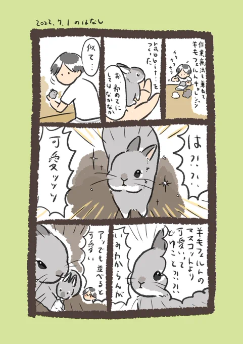今日のrabbit…
#うさぎのいる生活 
