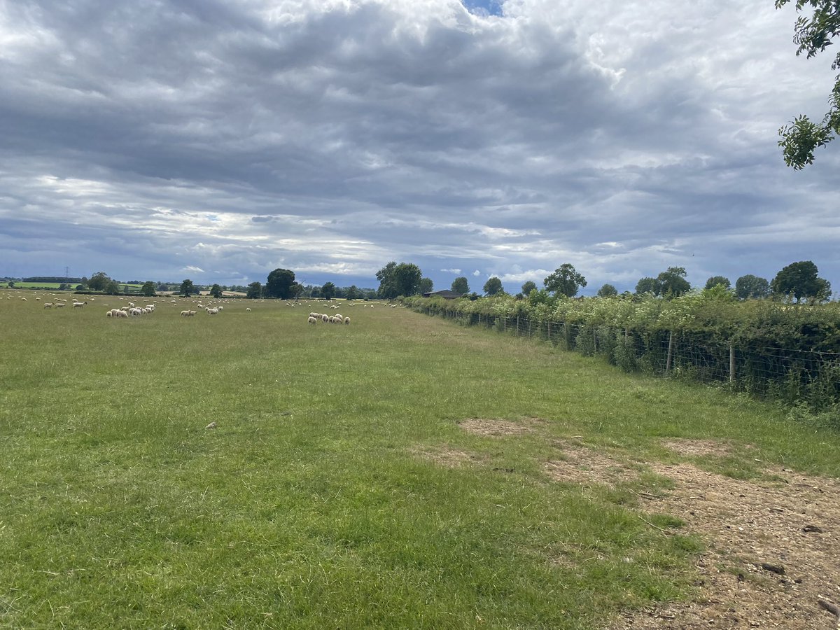 Caisson iO tweet media