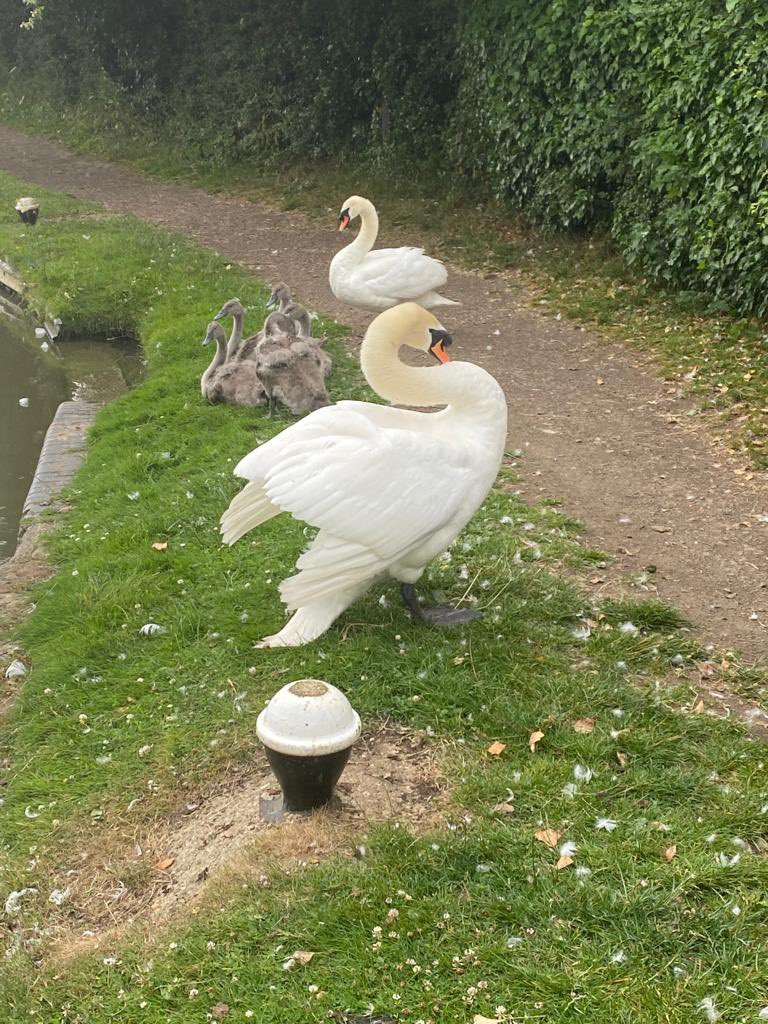 Caisson iO (@caisson_im) on Twitter photo Thank you <a href="/barwood_capital/">Barwood Capital</a> for a great 6mile #fundraising #walk for <a href="/NorthamptonSam1/">@NorthamptonSamaritans</a> & raising a worthy £3,100. We missed the rain, met some angry swans, had a great bbq & catch up with clients & advisors #samaritans Thank you <a href="/barwood_capital/">Barwood Capital</a> for a great 6mile #fundraising #walk for <a href="/NorthamptonSam1/">@NorthamptonSamaritans</a> & raising a worthy £3,100. We missed the rain, met some angry swans, had a great bbq & catch up with clients & advisors #samaritans