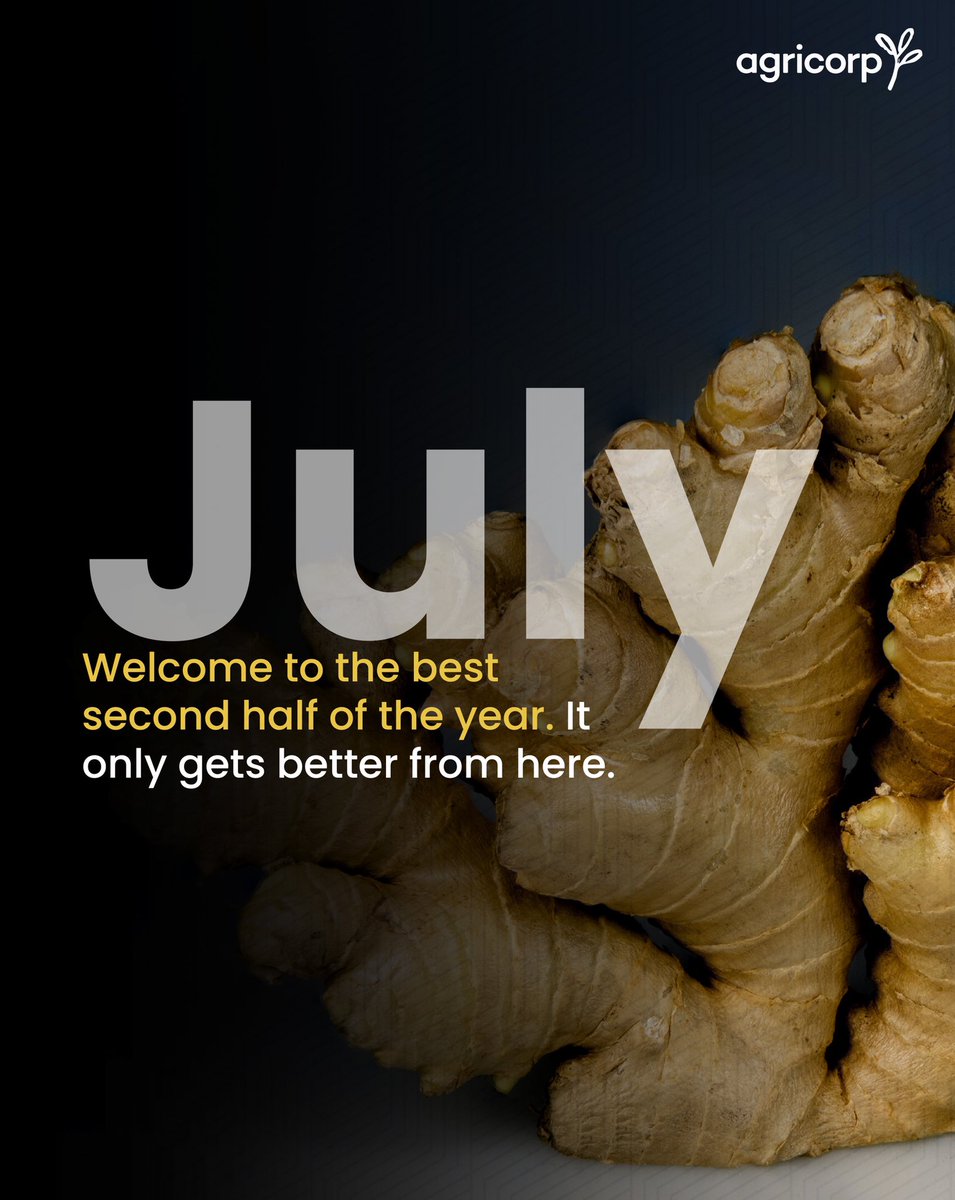 We wish great harvest in the remaining months of the year. #July will give you many reasons to be joyful. Happy new month. 

#ginger #gingerfarming #Nigeria