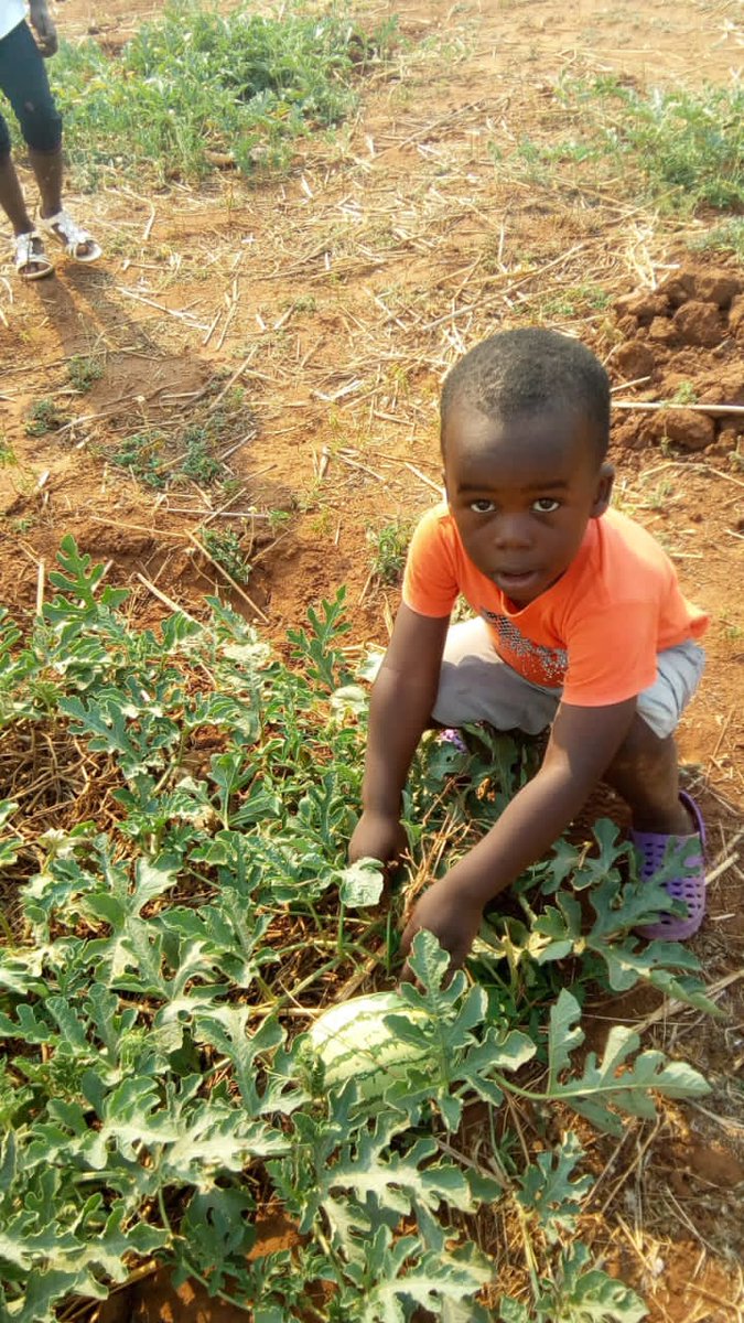 FarmerSteveM's tweet photo. Succession plan will go well...a farmer who knows there is a time for everything. When my time comes I will step aside.

 Happy Birthday my boy ❤️
#MbambaFarm https://t.co/kf2DWrt9vD