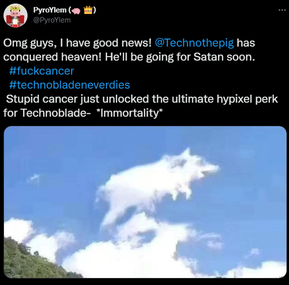 wilception's tweet photo. #FlyHighTechno #FlyHighTechnoblade https://t.co/n3oMmEdgny
