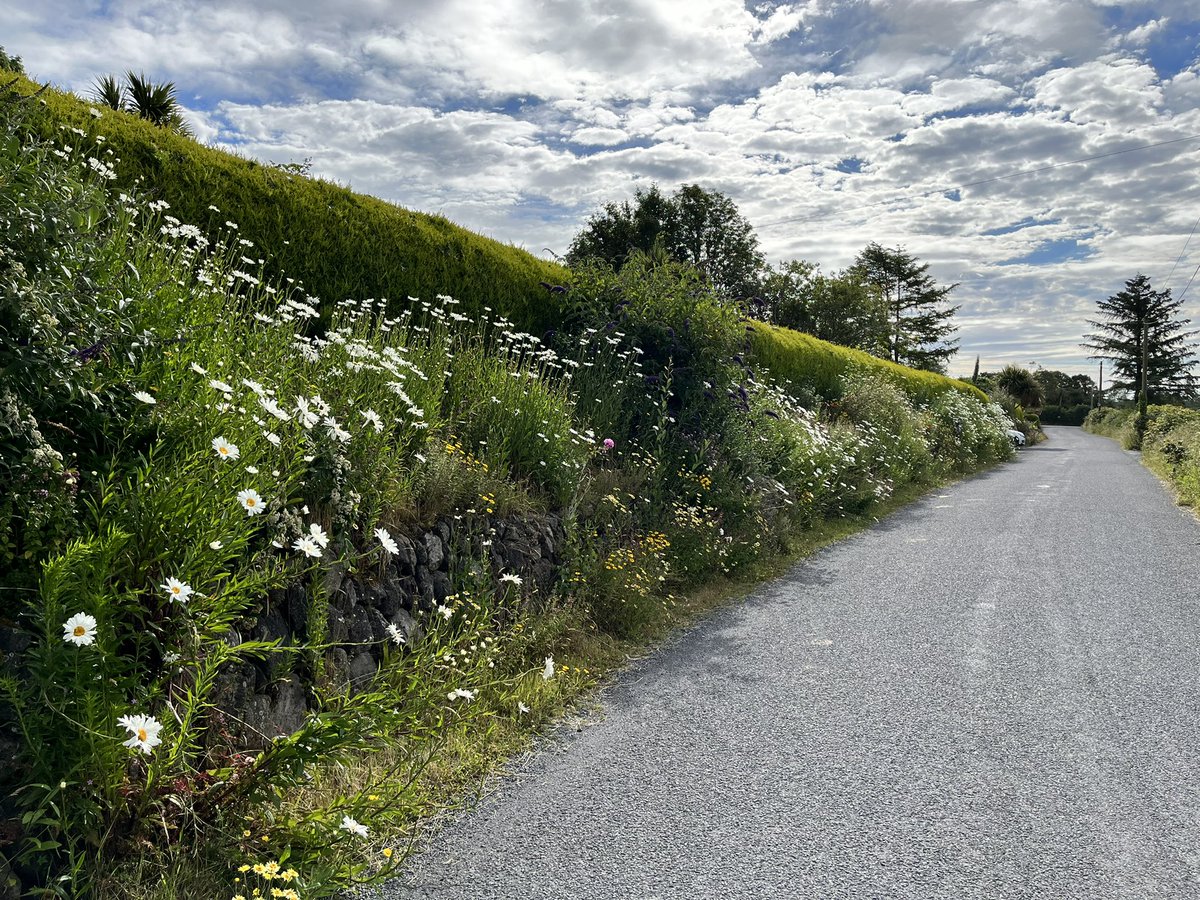 Rob Cass 🇮🇪🇿🇦🇬🇧🇦🇪🇩🇰🇩🇪🇪🇺🇸🇦🇳🇱 tweet media