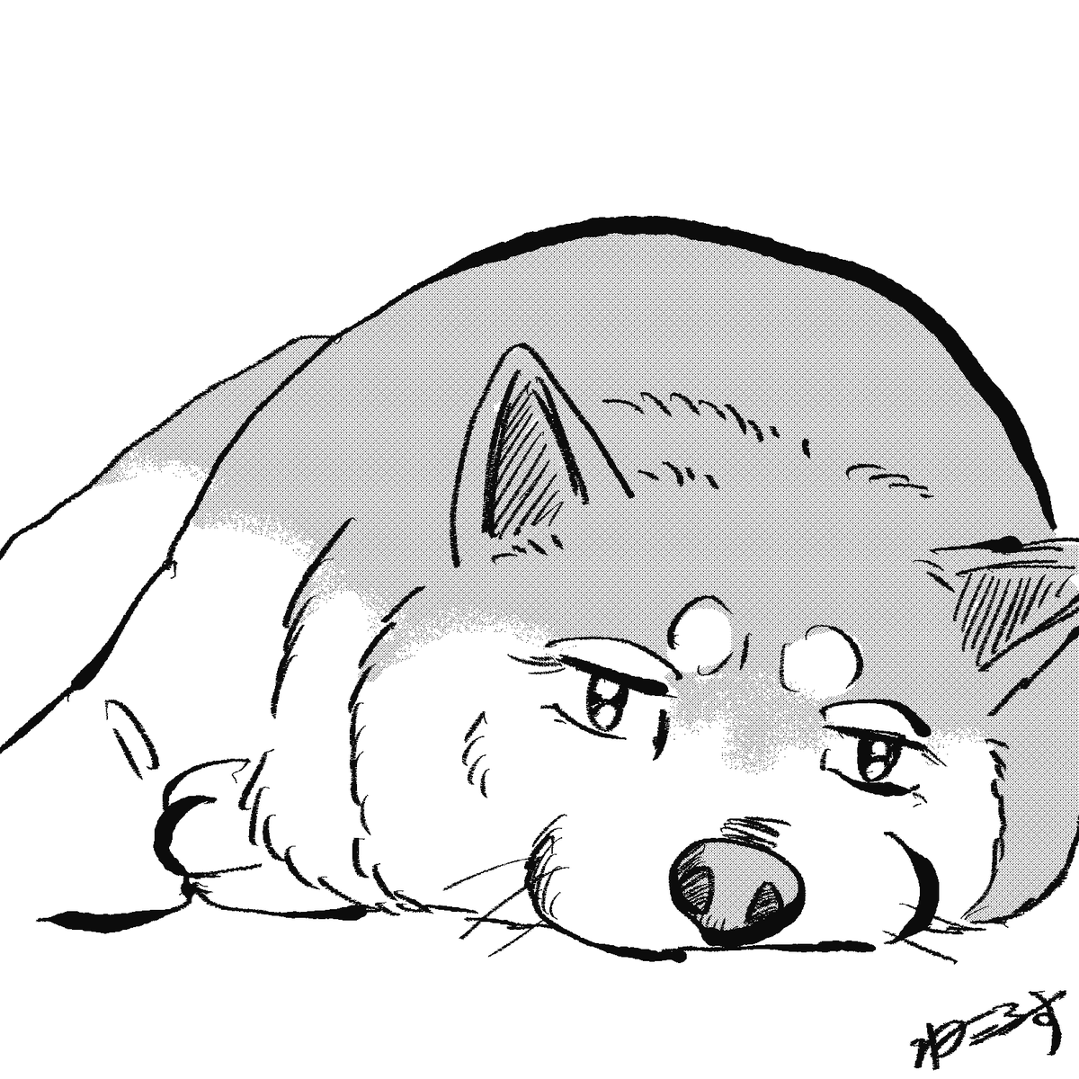 Takeiさん!
@Shibabaaaaaaa 