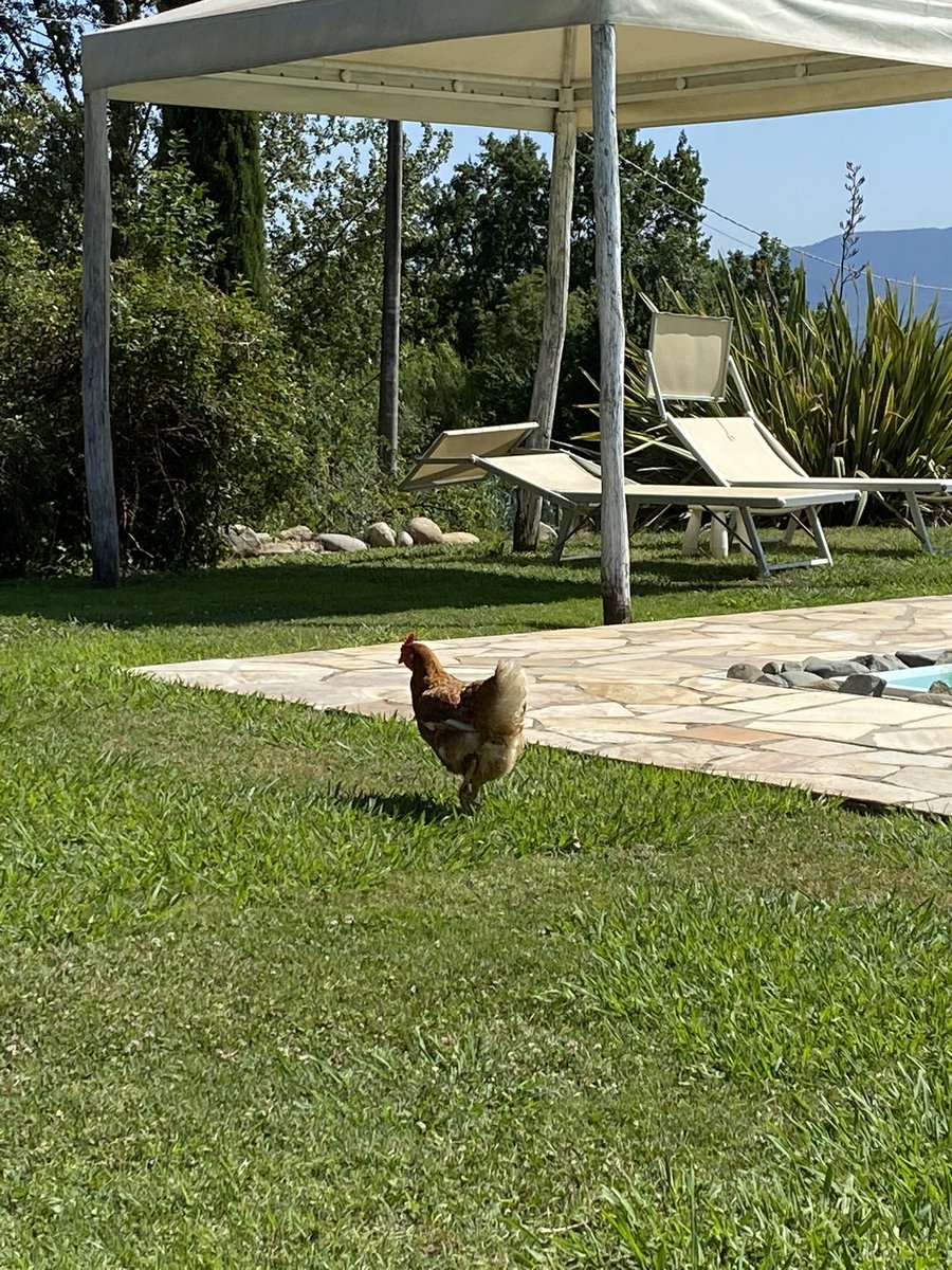 M vd Werf tweet media