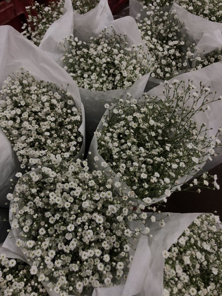 baby’s breath bouquets